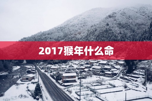 2017猴年什么命
