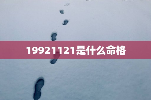 19921121是什么命格