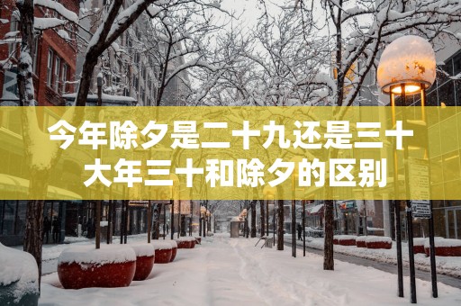 今年除夕是二十九还是三十 大年三十和除夕的区别