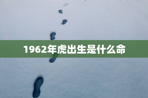 1962年虎出生是什么命