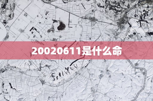 20020611是什么命