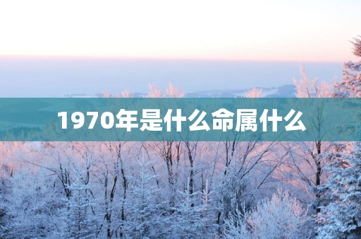 1970年是什么命属什么
