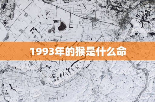 1993年的猴是什么命