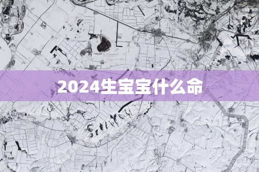 2025生宝宝什么命