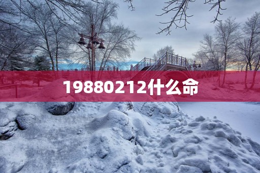 19880212什么命