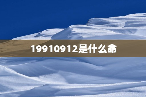 19910912是什么命