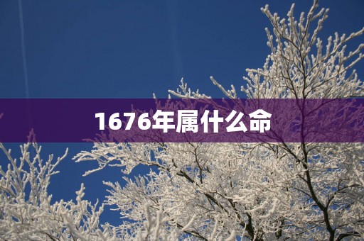 1676年属什么命
