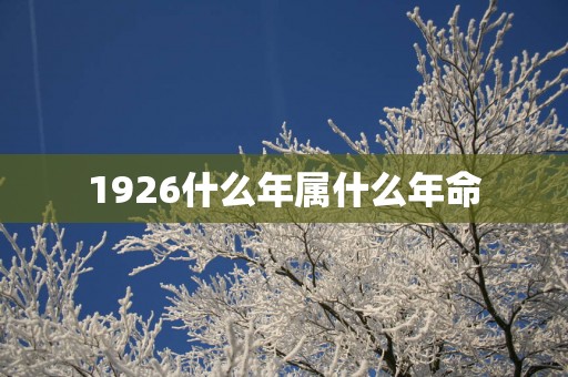 1926什么年属什么年命