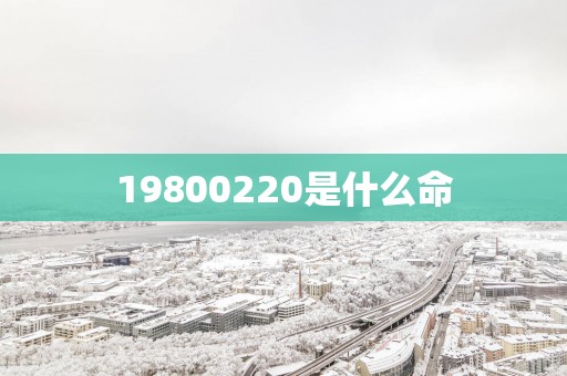 19800220是什么命