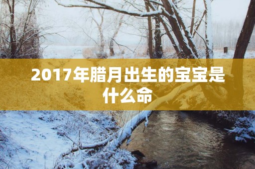 2017年腊月出生的宝宝是什么命