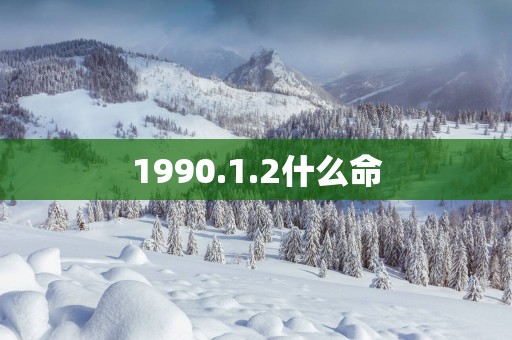 1990.1.2什么命