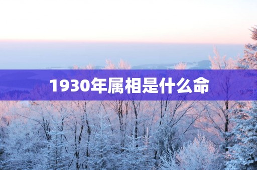1930年属相是什么命