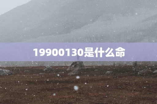 19900130是什么命