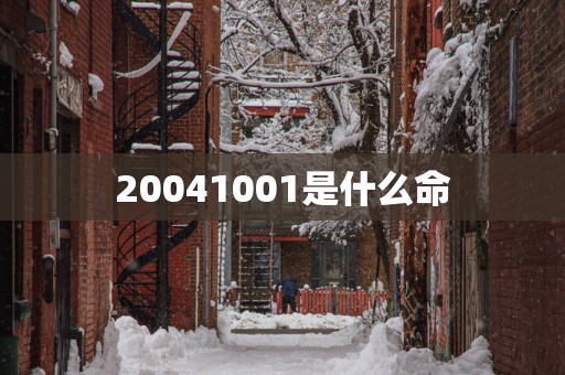 20041001是什么命