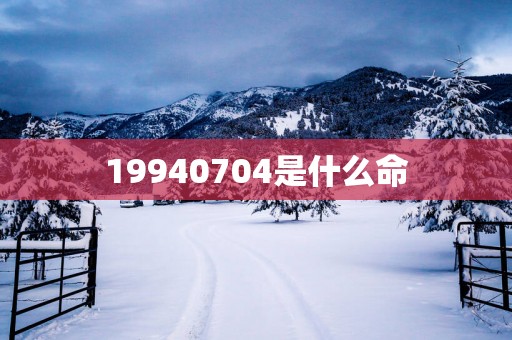 19940704是什么命
