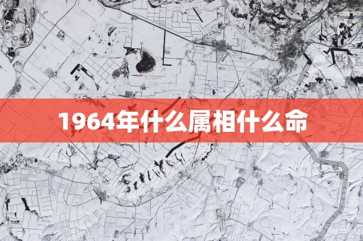 1964年什么属相什么命