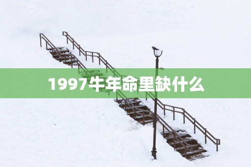 1997蛇年命里缺什么