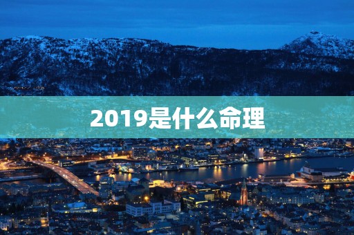 2019是什么命理