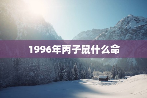 1996年丙子鼠什么命