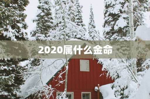 2025属什么金命