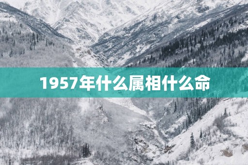 1957年什么属相什么命