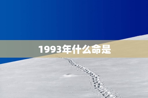 1993年什么命是