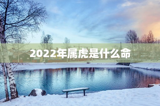 2025年属虎是什么命