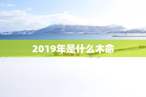 2019年是什么木命