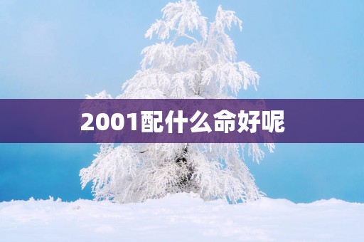 2001配什么命好呢