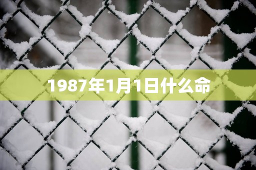 1987年1月1日什么命