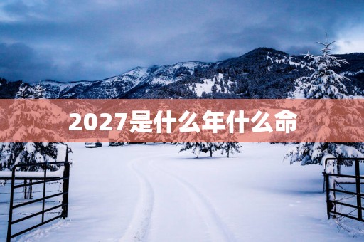 2027是什么年什么命