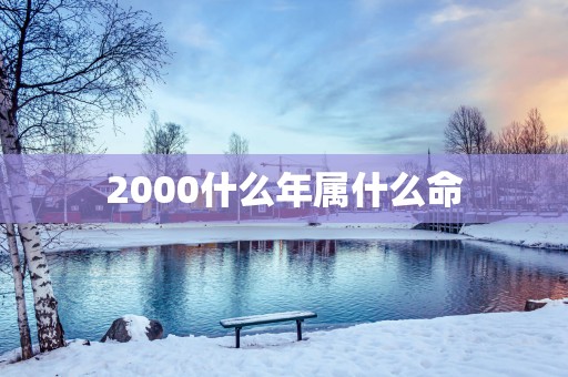 2000什么年属什么命
