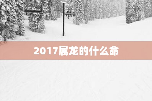 2017属龙的什么命