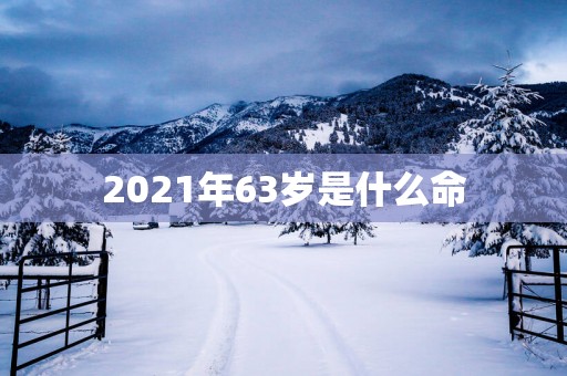 2025年63岁是什么命