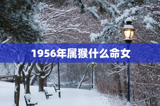 1956年属猴什么命女