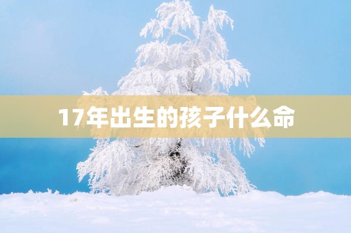 17年出生的孩子什么命