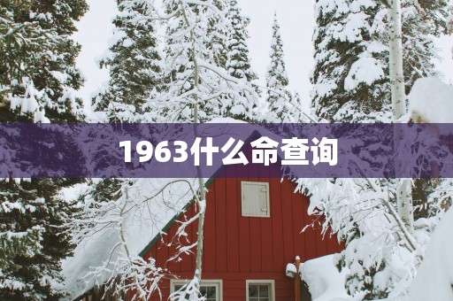 1963什么命查询