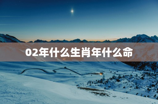02年什么生肖年什么命