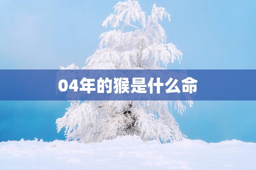 04年的猴是什么命