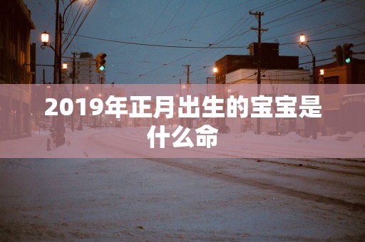 2019年正月出生的宝宝是什么命