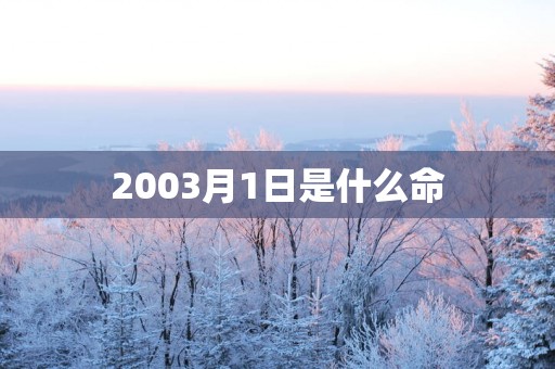 2003月1日是什么命