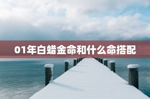 01年白蜡金命和什么命搭配