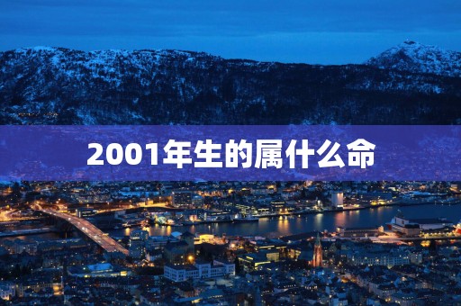 2001年生的属什么命