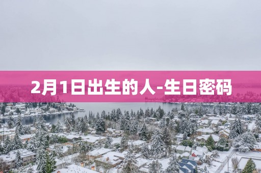 2月1日出生的人-生日密码