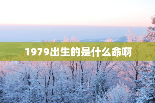 1979出生的是什么命啊