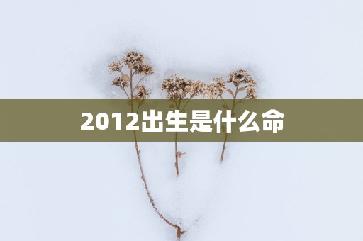 2012出生是什么命