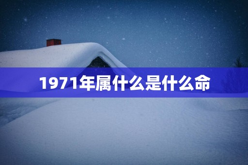 1971年属什么是什么命