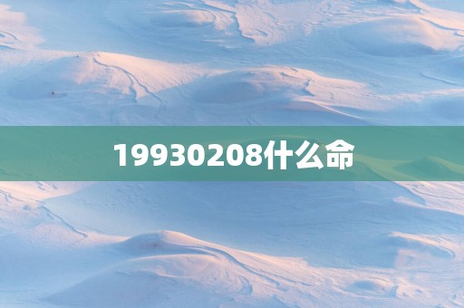 19930208什么命