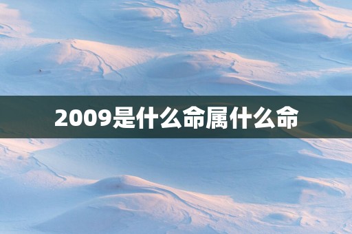 2009是什么命属什么命