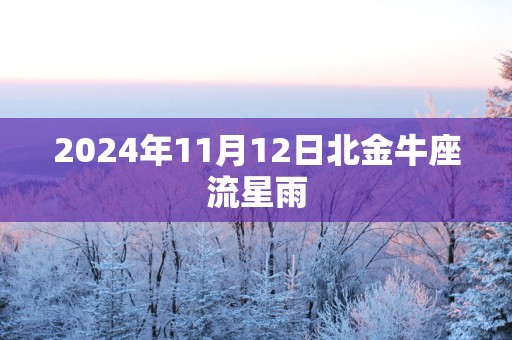 2025年11月12日北金牛座流星雨